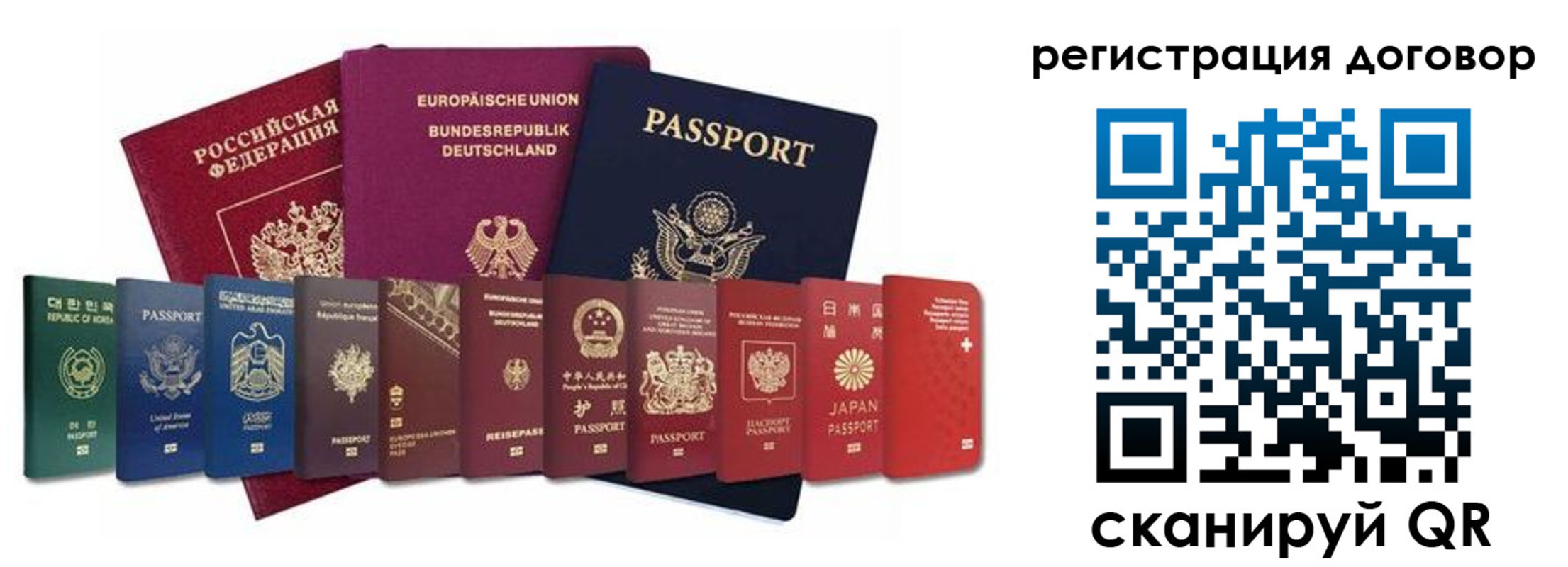 прописка для работы в Болотном